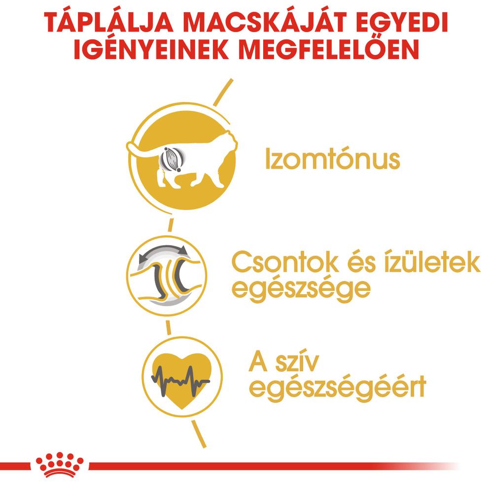 Szolgáltatásaink
